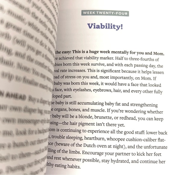 We're Pregnant! the First Time Dad's Pregnancy Handbook Adrian Kulp - Picture 7 of 7